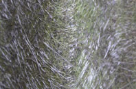 Windsor Green fibreglass roof work