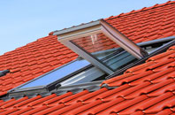 Windsor Green roof window