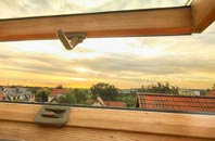 rated Windsor Green roof window companies